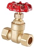 LDR 022 1003 1/2-Inch Gate Valve, Lead Free Brass [並行輸入品]