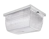 RAB Lighting VAN1F13W Vandalproof 6 by 8 Ceiling 13-Watt Fl 120-Volt, White Color Lens [並行輸入品]