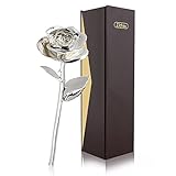 Zjchao ロングステム24Kゴールドディップトリム赤ローズ ギフトボックス入り カップル向けバレンタインギフト かわいいバレンタインデーギフトアイデア ロマンチックな記念ギフト シルバー WXD-