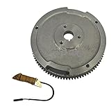 leihuo フライホイール+充電コイル適用され ホンダ GX160 GX200 5.5/6.5HPエンジン[並行輸入品]