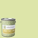 Inspired Semi-Gloss Interior Paint, Leaf .07, Gallon [並行輸入品]