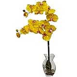Nearly Natural 1295-YL Phalaenopsis Orchid with Vase Arrangement, Yellow [並行輸入品]