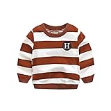 PANCY 子供服 春秋 長袖 Tシャツ キッズ トレーナー 丸い襟 男の子 女の子 シンプル ストライプ 縞柄 刺繍(ブラウン,120cm)