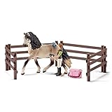Schleich North America Andalusian Horse Care Set [並行輸入品]