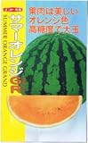 【種子】スイカ　サマーオレンジグランド 約8粒