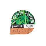 花ごころ ガーデニング用品・資材 SEED potion ルッコラ 60875