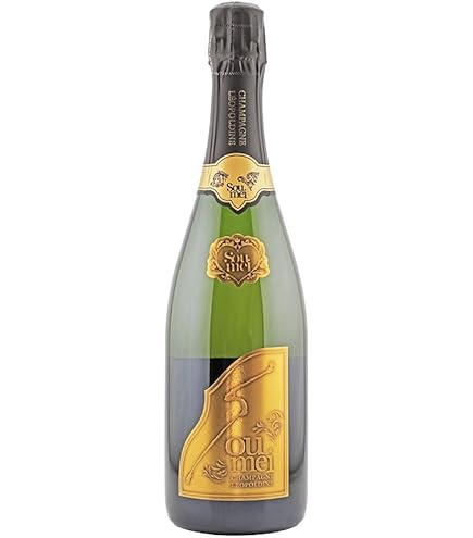 Amazon.co.jp: ソウメイ シャンパン ブリュット 白 正規品 750ml [並行