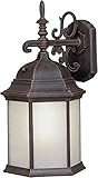 Forte Lighting 17009-01-28 Exterior Wall Light with Frosted Seeded Glass Shades, Painted Rust [並行輸入品