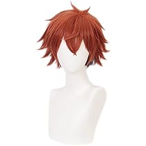 Amazon.co.jp: LAOBAO コスプレ ウィッグ エース・トラッポラ