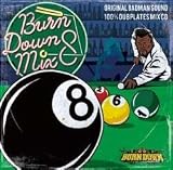 100% DUB PLATES MIX CD BURN DOWN MIX 8