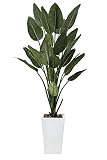 造花アート・観葉植物　ストレチアW1.6＜ 自宅のインテリア 店内の装飾 プレゼントに ＞