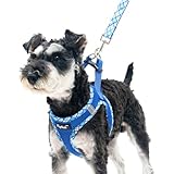PUPTECK 犬 ハーネス リード セット 抜けない 胴輪 調整可能 軽量 メッシュ 通気性 ソフト 快適 着脱簡単 反射材付き 引っ張り防止 喉に優しい 耐久性 散歩 アウトドア 安全 老犬介護 しつけ おしゃれ 超小型犬 小型犬 中型犬 柴犬（ベージュ, XSサイズ）
