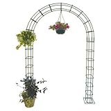 ガーデンアーチ大 バラアーチ つる植物・薔薇の誘引