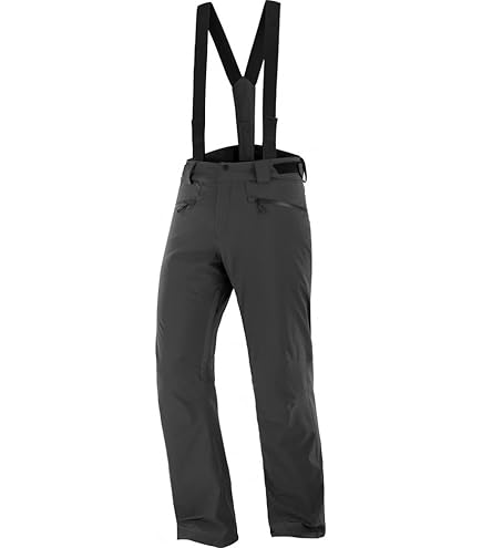 Amazon.co.jp: [サロモン] スキーウェア パンツ メンズ S/LAB QST GORE