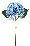 Renaissance 2000 Single Hydrangea Stem 6 L x 18 H x 6 W Blue [並行輸入品]