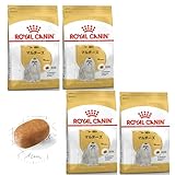 ロイヤルカナン bhn マルチーズ 成犬・高齢犬用 1.5kg×4個セット ニューパッケージ