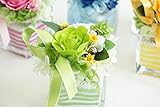 【ベルシック】 プリザーブドフラワー　スウィートローズ　グリーン　 枯れないお花　お祝・お見舞い　クリアケース付