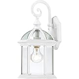 Nuvo Lighting 60/4961 Boxwood One Light Small Wall Lantern/Arm Down 100 Watt A19 Max. Clear Beveled 