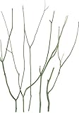 azi-azi ドライツリー グリーン 5本入 DL-135