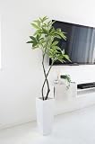 観葉植物 大型 フェイク 造花 ♪【グリーンパーク】FRP H50×パキラ＜タイプ：ウッドチップ/ホワイトベース＞♪ インテリアグリーン アーティフィシャル