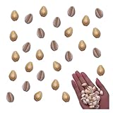 ファイニエ シェルパーツ 貝殻 カウリー アイボリー 14ｍｍー16ｍｍ 小さめ MIX 穴あり 海 貝 天然 50個 マリン レジン デコパーツ BD3970