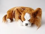 ニニアンドキノ パーフェクトペット (小サイズ) チワワ ロング (レッド＆ホワイト) ぬいぐるみ 犬 いぬ イヌ リアル 本物 そっくり 雑貨 動物 アニマル 癒し 動く プレゼント ギフト お祝い かわいい 犬のぬいぐるみ