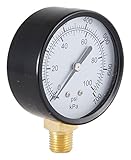 LDR 020 9633 100-Pound 1/4-Inch M NPT 2-1/2-Inch Pressure Gauge [並行輸入品]