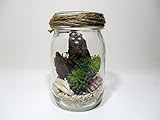 【 翔美苑 】テラリウムキット(多肉植物(造花)付き:パープル) 手軽でおしゃれ