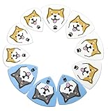 柴犬ギターピック3種類合計10枚パック