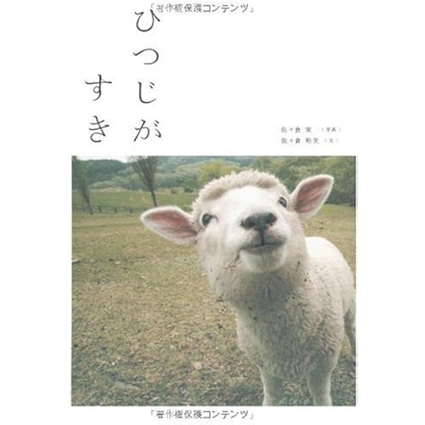 Amazon.co.jp: ひつじにあいたい : 写真=佐々倉実 文=佐々倉裕美: 本
