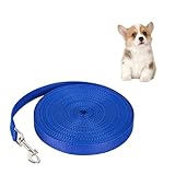 DIZLAS ロング リード 30m 360度回転 犬用リード 小型犬 中型犬 大型犬 トレーニング 長い (ブルー)