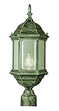 Trans Globe Lighting 4352 RT 25-Inch 1-Light Outdoor Wall Lantern, Rust [並行輸入品]