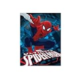 Spiderman - Go Spidey Hero Dc Comic 40x50 Mink Style Blanket in Gift Box by Disney