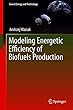 Modeling Energetic Efficiency of Biofuels Production (Green Energy and Technology)