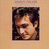 �u���[�E���b�W�E�}�E���e���E�X�J�C���C��