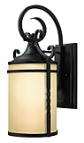 Hinkley Lighting 1140OL Casa Outdoor 1-Light Lantern [並行輸入品]