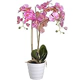 Hill Interiors Prestige Potted人工Orchid One Size ピンク UTHI2033_4