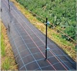 日本ワイドクロス株式会社　アグリシート　(防草シート)　黒　幅125cm×長さ100m