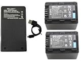 WELLSKY VW-VBK360 VW-VBK360-K 互換バッテリー 2個 + VW-BC10 VW-BC10-K [ 超軽量 ] USB Type-C 互換充電器 バッテリーチャージャー 1個 [ 3個セット ] [ 純正充電器で充電可能 残量表示可能 純正品と同じよう使用可能 ] パナソニック