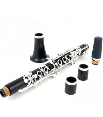 Amazon | PLAYTECH (プレイテック) エスクラリネット 樹脂製管体