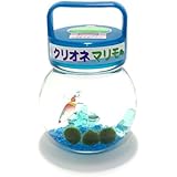 クリオネ入りマリモ（ガラス瓶・プラスチック蓋）【水道水で育てられる養殖まりも3個入り】