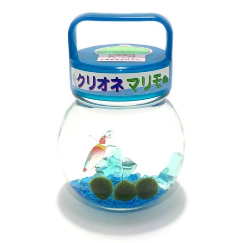 クリオネ入りマリモ（ガラス瓶・プラスチック蓋）【水道水で育てられる養殖まりも3個入り】