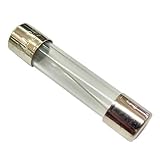 ガラス管 ヒューズ 5A 250V 30mm 20本 [並行輸入品]
