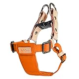 [RafiCaro] ハーネス 小型犬 中型犬 犬ハーネス おしゃれ 犬用 犬用胴輪 ドッグ軽い 簡単装着 人気 丈夫 首輪 リード 着脱簡単 オレンジ