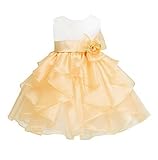 CHD ベビードレス　出産祝い　子供ドレス　キッズドレス　結婚式　発表会ドレス　入園式ドレス　女の子ワンピース　フォーマルドレス　花嫁介添人ドレス　子供演奏会ドレス　お誕生日 (M(6-12M), シ