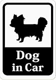 Dog in Car 「チワワ／パピヨン／小型犬」 車用ステッカー (マグネット) (ホワイト) s17