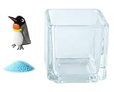 花市場直送便 ミニチュアガラス キングペンギン & カラーサンド スカイブルー & 植え込み用グラス ニューブロックS