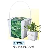 アーテック ベジコンテナ 102946 サラダホウレンソウ