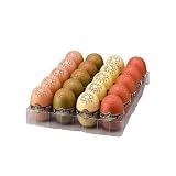ザウルス 4Dパズル BOX（20個アソート入り）２０種類