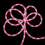 150' Commericial Grade Pink LED Indoor/Outdoor Christmas Rope Lights on a Spool [並行輸入品]